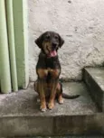 Meggie