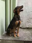 Meggie