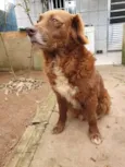 Gabriel