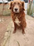 Gabriel