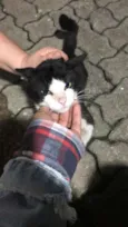 Não tem