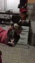 Tom