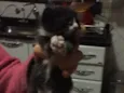 Tom