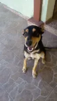 Billy