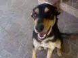 Billy