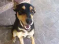 Billy