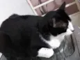 Diego
