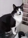 Diego