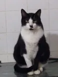 Diego