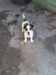 Charlie