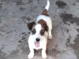 Charlie