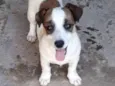 Charlie
