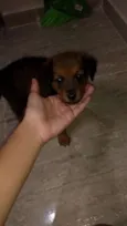 Não possui um nome