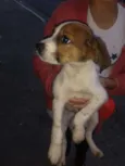 Bernardo