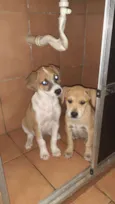 Nao dei home ainda