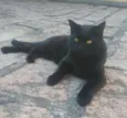Tim