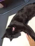 Tim