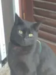 Tim