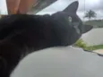 Tim