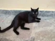 Tim