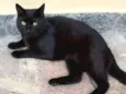 Tim