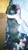 Baby