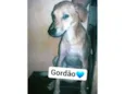 Gordão