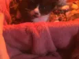 Tom