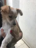 Juliano