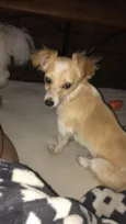Juliano