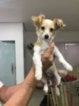 Juliano