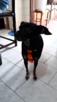 Mel
