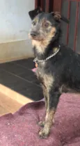 Lennon