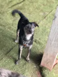 Lennon