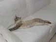 Neo