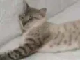 Neo