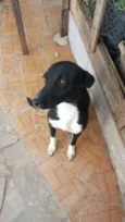 Neguinha