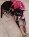 Princesa