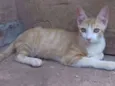 Dimitri