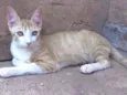 Dimitri
