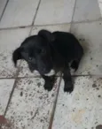 Não tem nome ainda