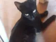 Nininha