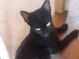 Nininha