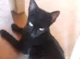 Nininha