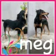 Meg
