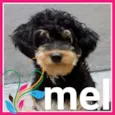 Mel