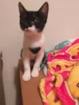 Help