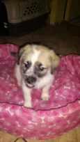 Cosmo