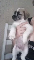Cosmo