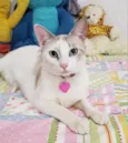 LUISE 